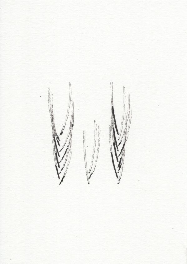 Gallery Ode to Repetition and Difference - set of 12 - Gallery image 1