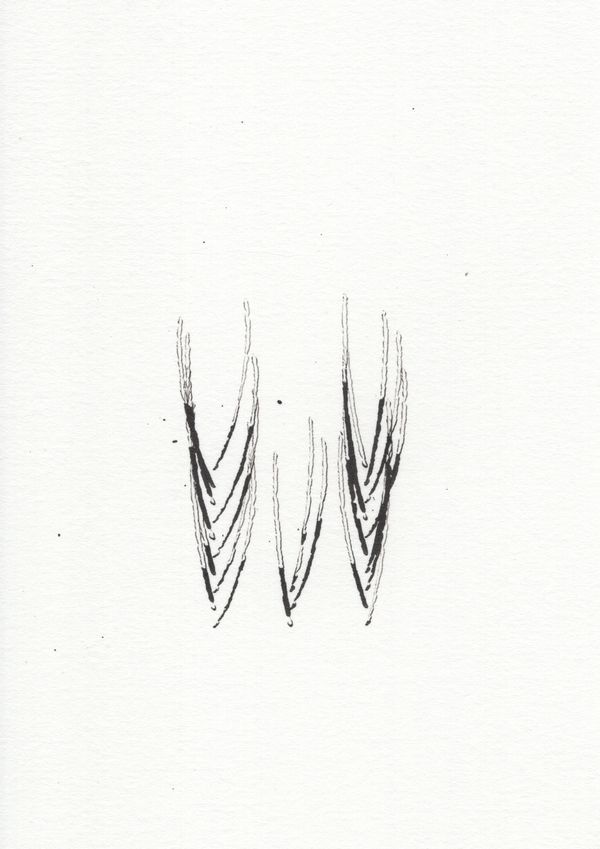 Gallery Ode to Repetition and Difference - set of 12 - Gallery image 8